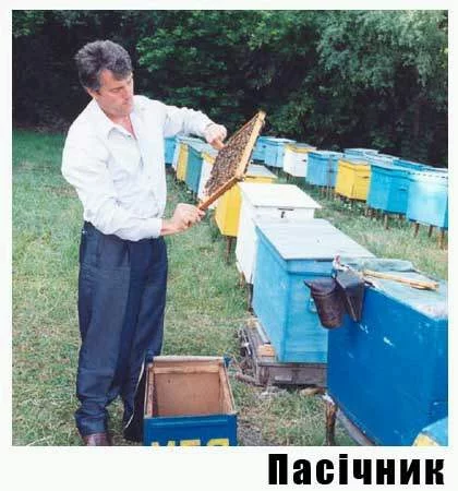000hbh36.webp