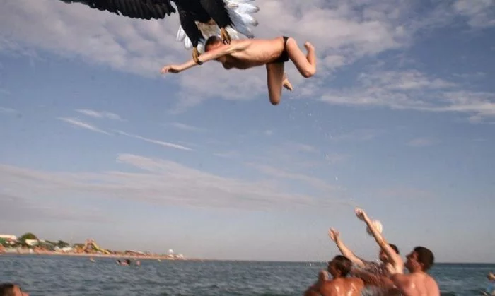 001.webp