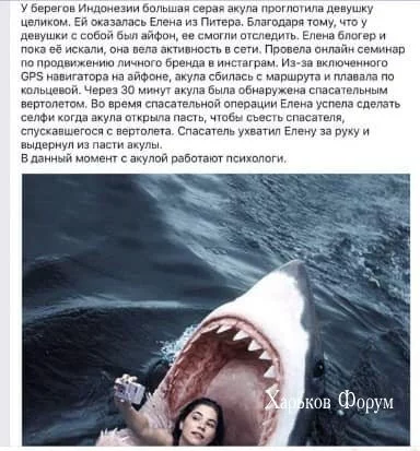 0010ea05116f4aa6.webp