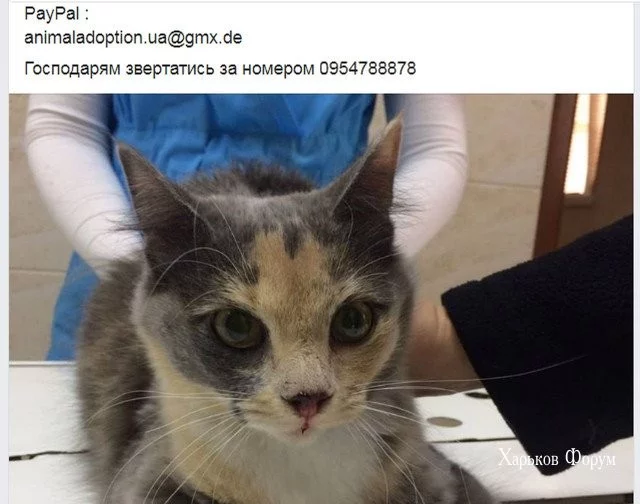 0013969aa0e86f04e5d3c52.webp