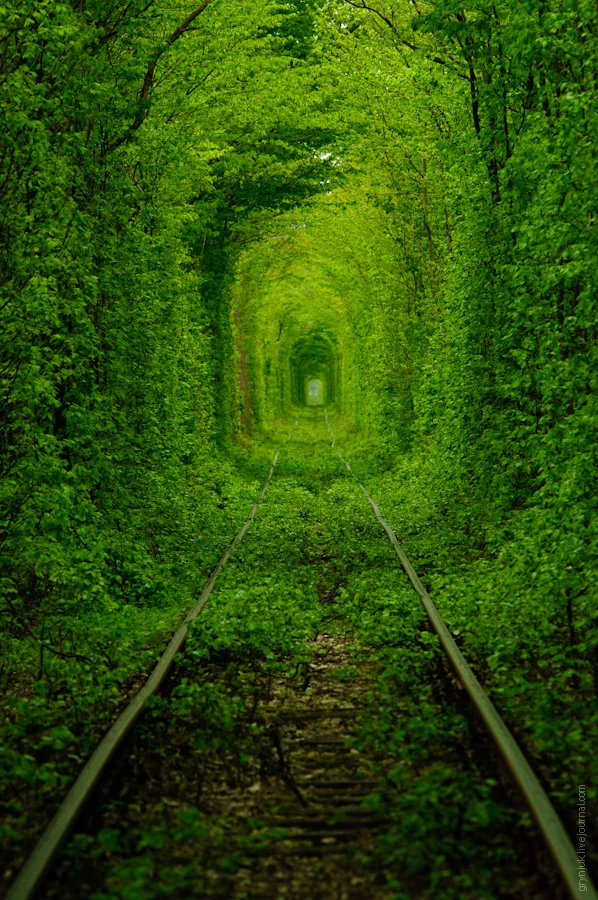 001ed96h.webp