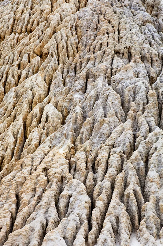 001xx9sk.webp