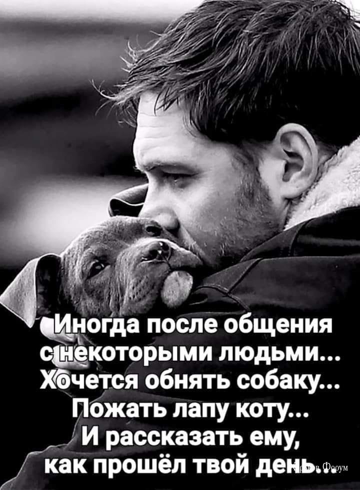 0020c9af3c3eecb6247d96e.jpg