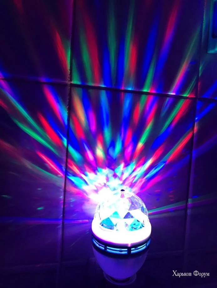 002471c74310f071743e2001.webp