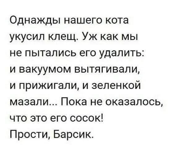 00271bc53971d2a7.webp