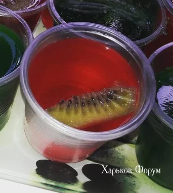 0027bc463ab5d7dde.webp