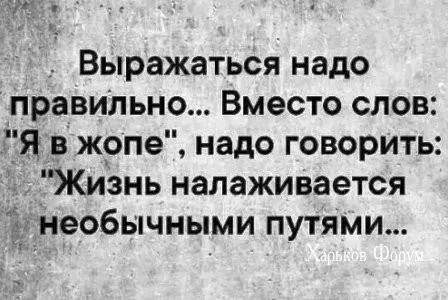 004a082cd0b7167a1b024.webp