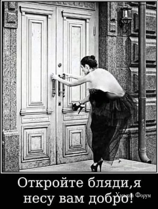 004d1684a085ddd851.webp