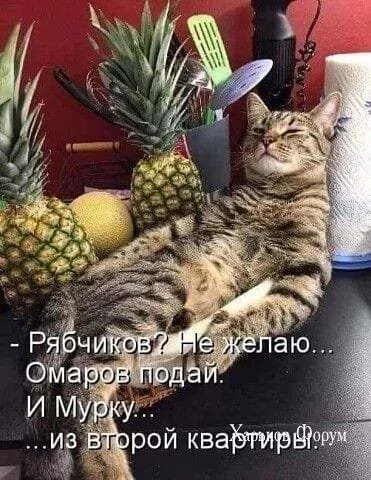 004e30d6dd1744d4077c.webp