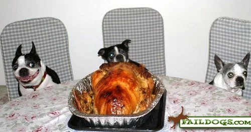 005.webp