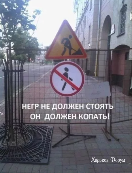 005033a35e95685f12b2e.webp