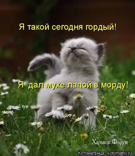 0052778470096ff31ebed.webp
