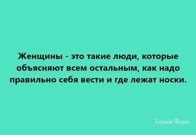 005f167066eb2056a.webp