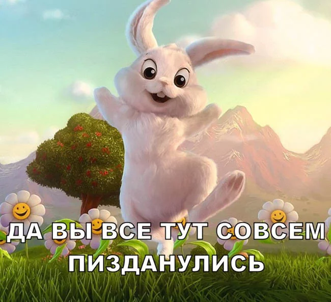 005x9c2h.webp