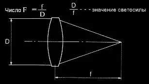 006.webp