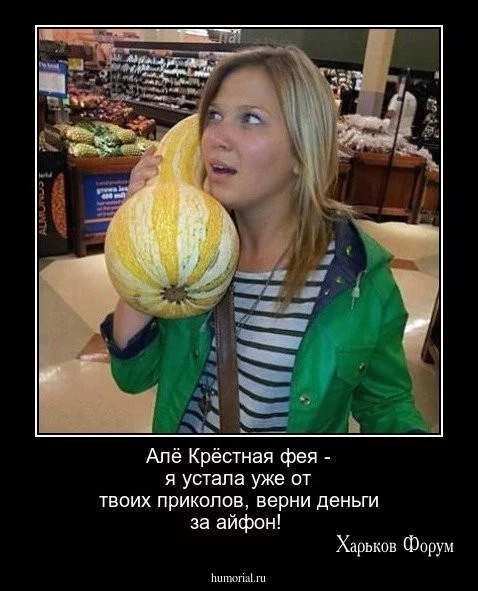 00603efc4315d92840cc3e8.webp