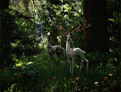 00724d95e045d38672dfede643512fae2f577eab.gif