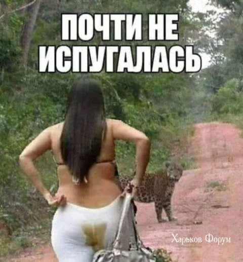 007f07b1db06fee115.webp