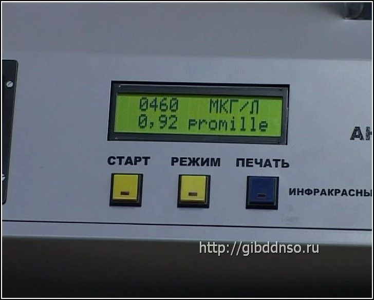 008.webp