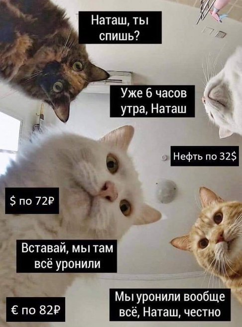 00c76d7eaed2cc681ed0918efb70caf7703b05cb.jpg