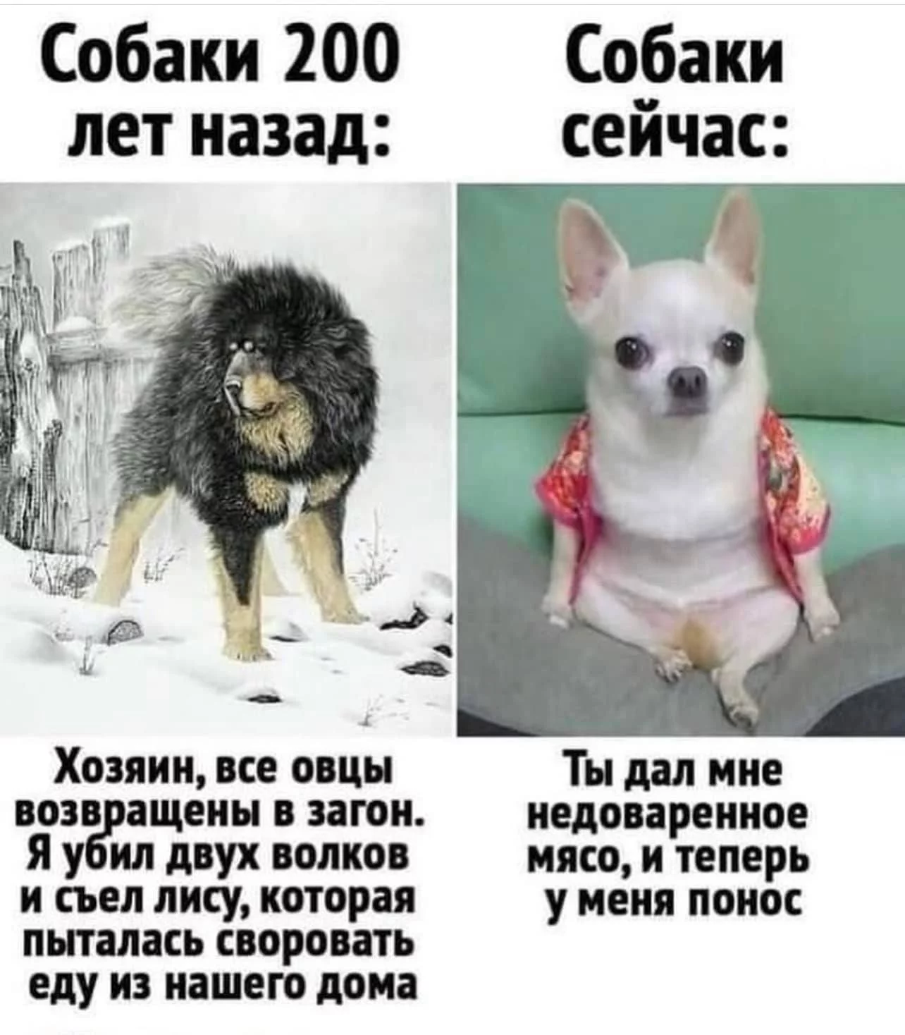00f6cd8951e5b86bf19d2fb6.webp