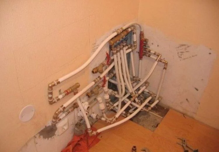 00fdbgsc.webp
