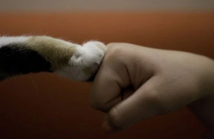 00g674px.webp