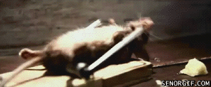 00kgh6ke.gif