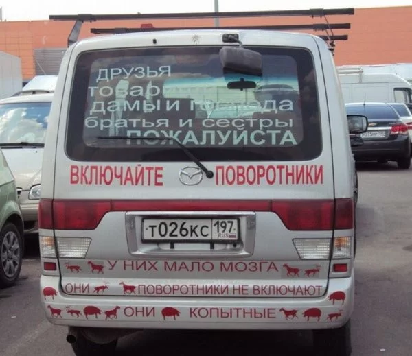 00wcepqh.webp