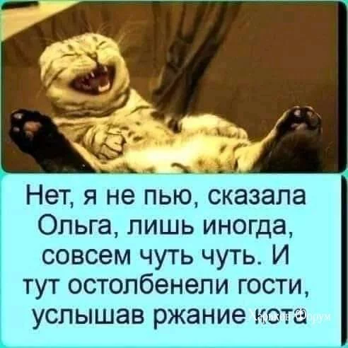 01161603478cfa684f1af.webp