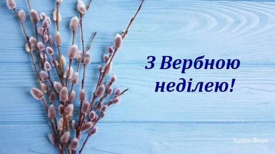 0119c81ecb9b627213aaaf3.webp