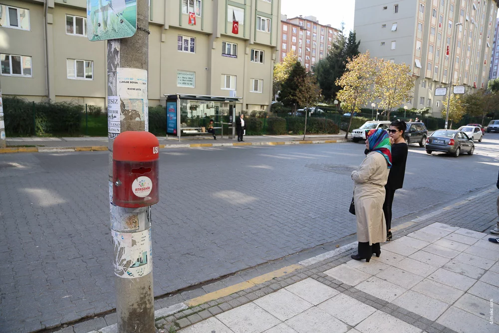 013.webp
