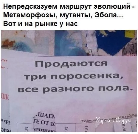 013261bc16e93492ff1c.webp