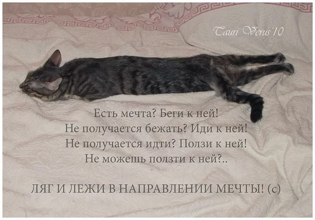 01472be01001de600_5584cc4084dd8a8dbd05686421cb2707.webp