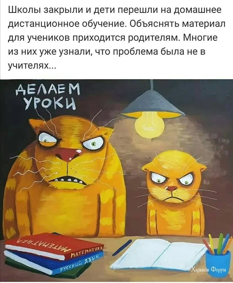015a283209791a155d78f2.webp