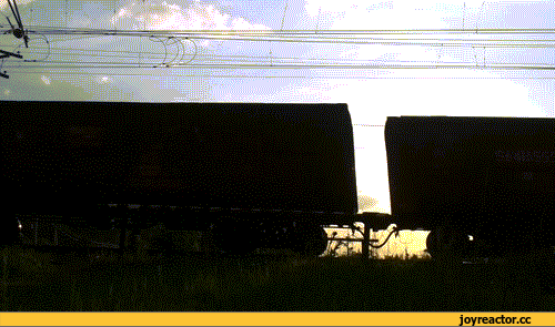 015fdf90b7c28e2eb.gif