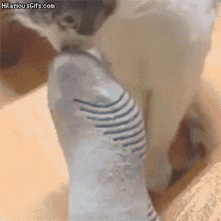 016.gif