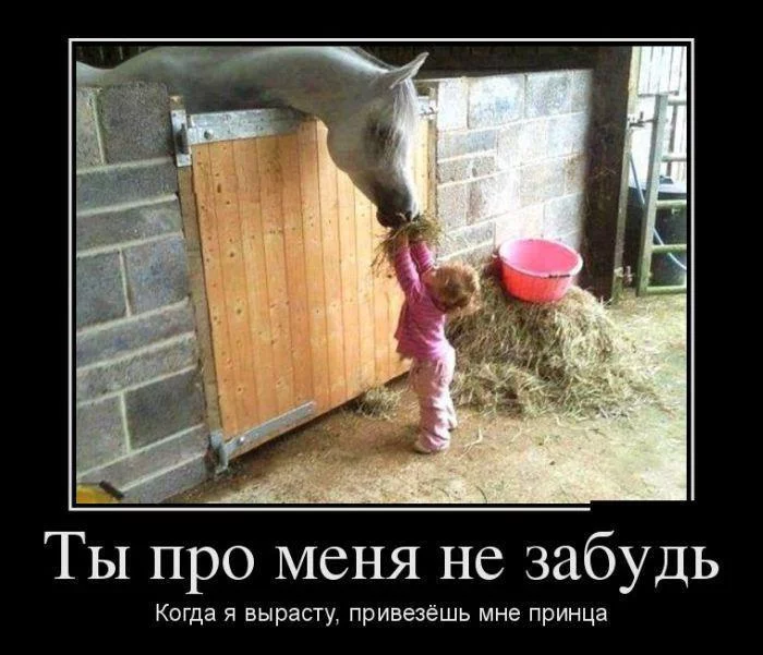 016.webp