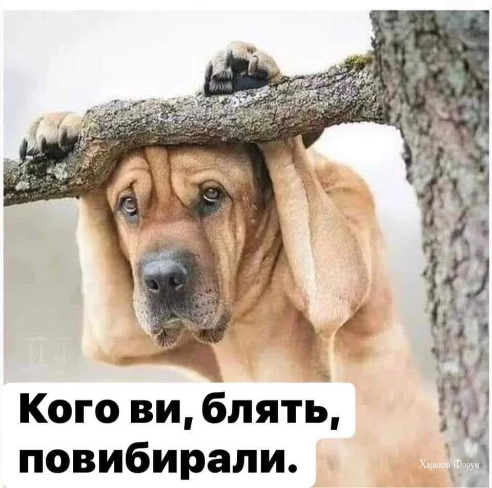 01696f9ef8329e1966256a9.webp