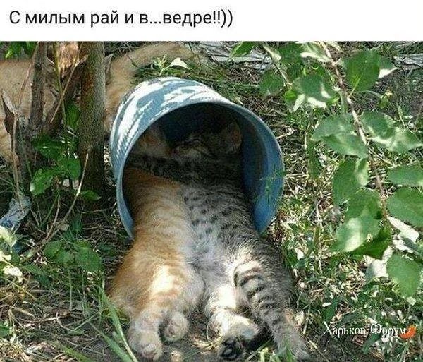 0177d4cd94f839fdfc099b32.webp