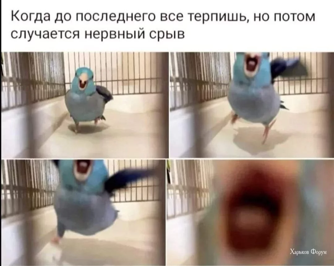 018a33e576c518a5f8.webp