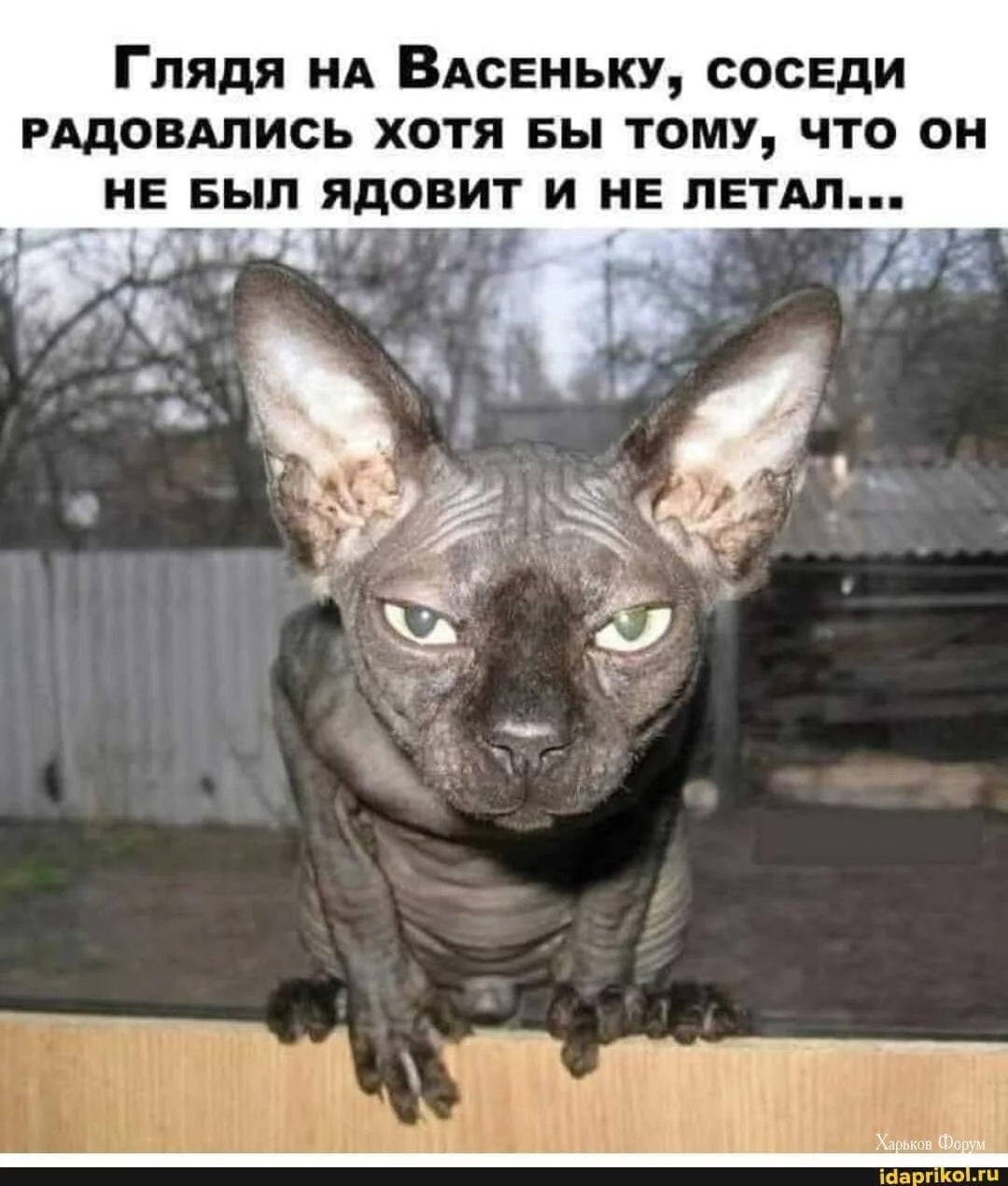 018affbf6ab85e5f1cb1e86.webp