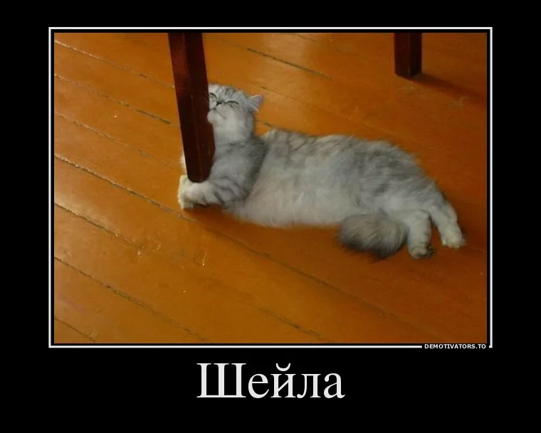 019334f43c80410c50fa1e37b5379123.webp
