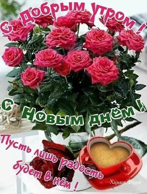 01a395d9dbcdb941198.webp