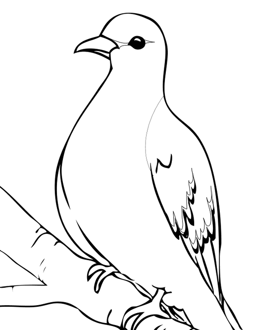 01a6a10de1522e170fe55bcbda5ccf93.png