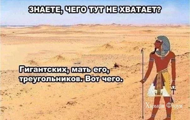01c66837e4efde00dc40.webp