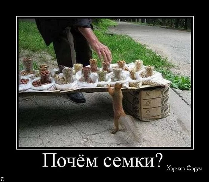 01d4c80e2a5535012ed2a.webp