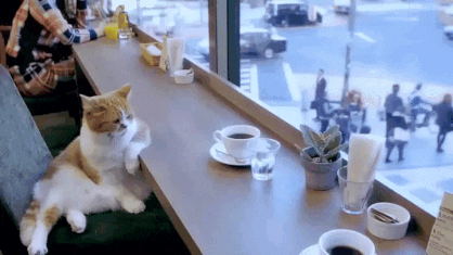 01d5a28367b72cd156.gif