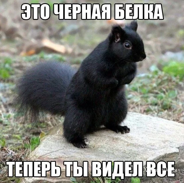 01e1b5d9343372522a.webp