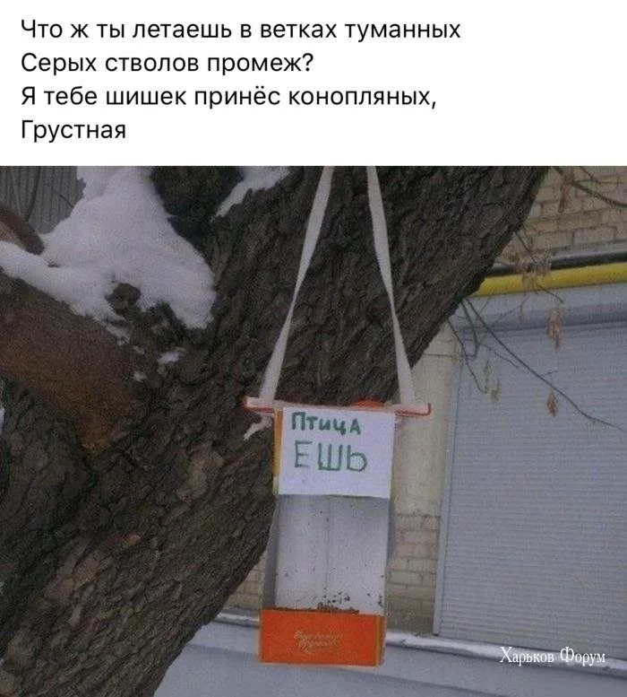 01e4101f6fc397ce8.webp